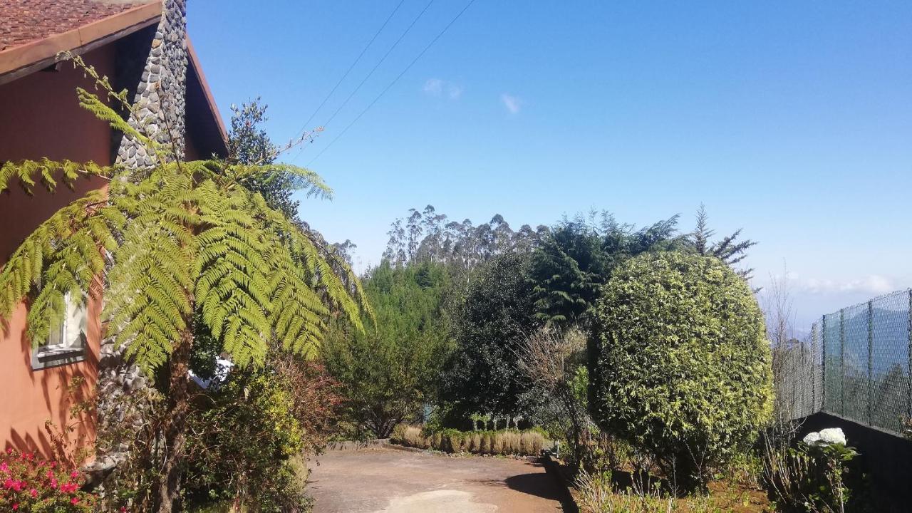 Chalet Pico Das Pedras Santana  Exterior foto
