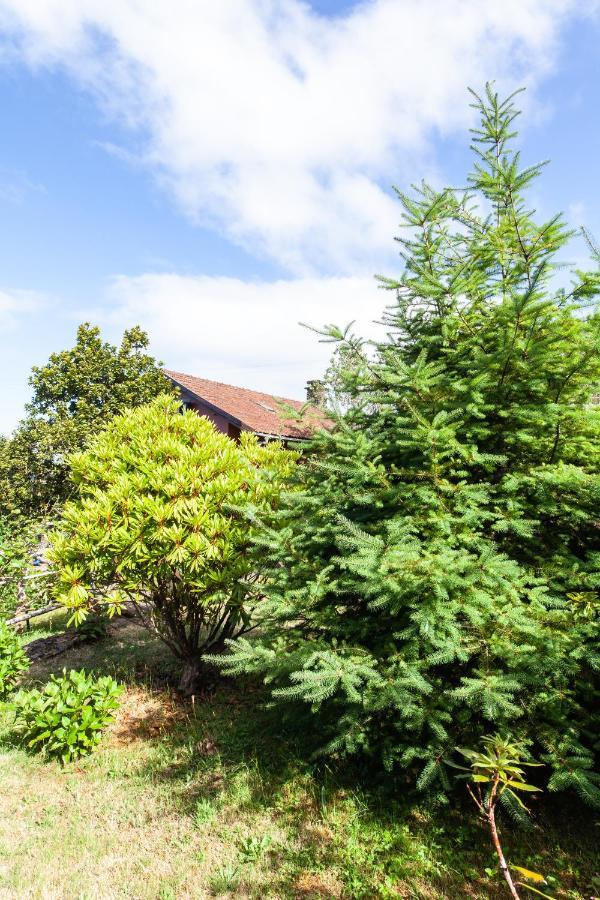 Chalet Pico Das Pedras Santana  Exterior foto